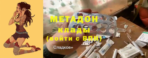 стаф Алексин