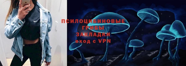 стаф Алексин