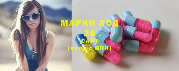 стаф Алексин