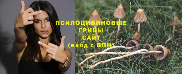 стаф Алексин