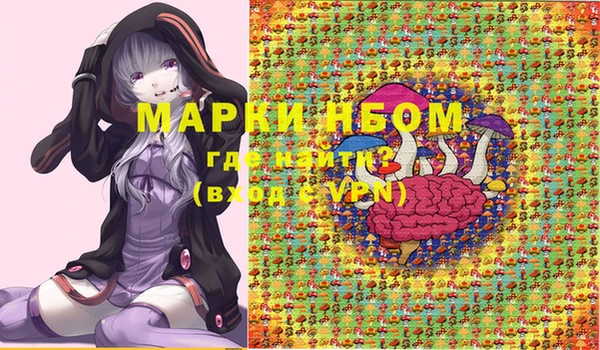 стаф Алексин