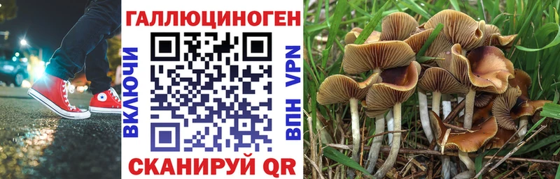 Галлюциногенные грибы ЛСД  что такое наркотик  Черепаново 
