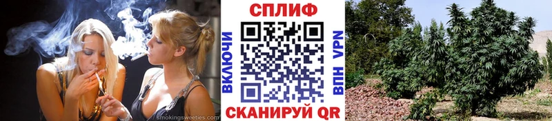 Канабис OG Kush Черепаново